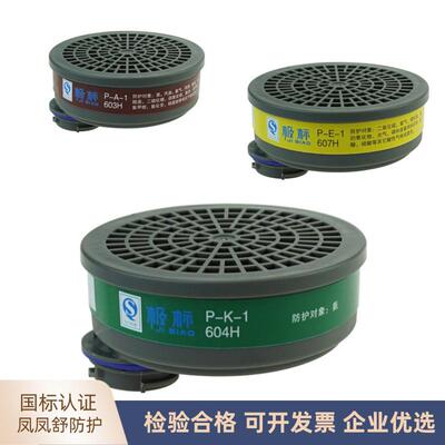 热销600型号607化工/604防氨/603H喷漆防毒面具配件活性炭过滤盒