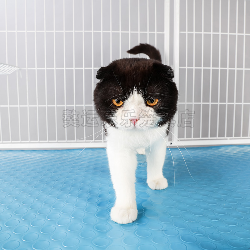 热销新款猫笼垫子塑胶防滑垫垫脚板獒运猫笼卫浴防滑配套手撕不烂
