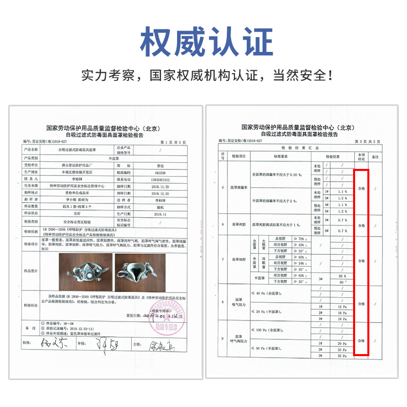 热销6200防毒防烟面具防尘防飞沫打磨打药放毒氧气喷漆呼吸防护面
