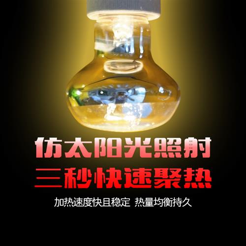 芦丁鸡鹌鹑宠物夜间照明灯冬天保温灯箱取暖灯小鸡育雏智能温控器