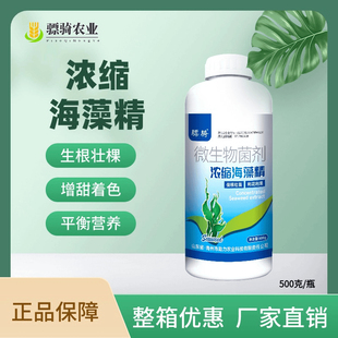 骠骑浓缩海藻精促根壮根绿叶靓果抗旱抗逆大田作物通用水溶肥