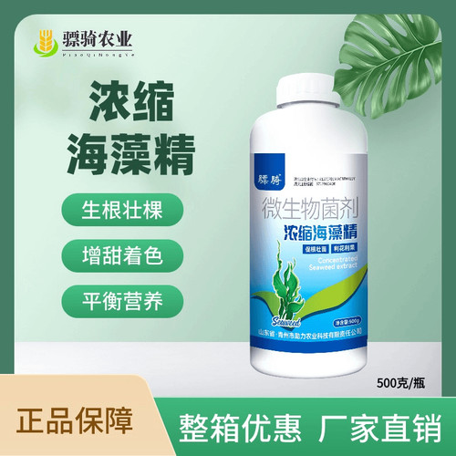 骠骑浓缩海藻精促根壮根绿叶抗旱