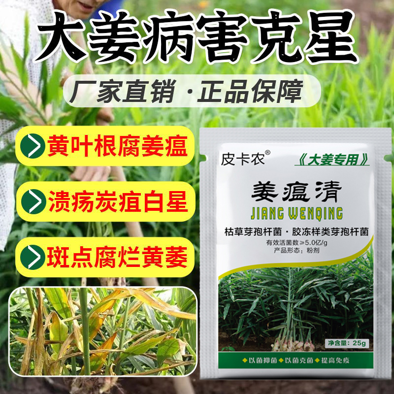 皮卡农姜瘟病生姜杀菌剂姜瘟清