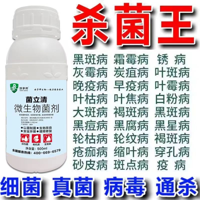菌立清500克装叶斑病微生物菌剂