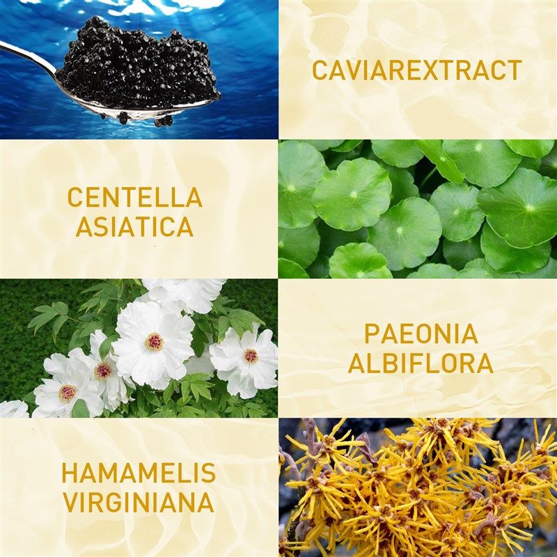 Instant Facial Anti-Wrinkle Serum Fade Fine Lines Improve Fi