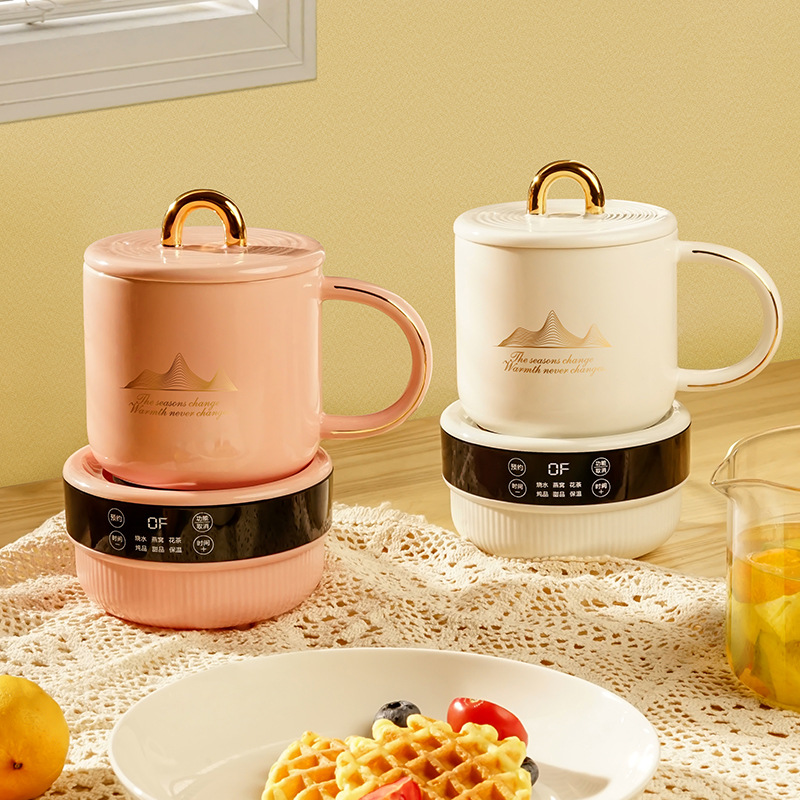 多功能小型电炖杯养生杯家用可携式加热水杯办公室迷你养生壶