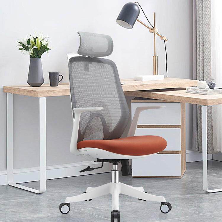 人体工学椅久坐电脑椅可躺办公椅子靠背舒适护腰座椅书房家用椅子