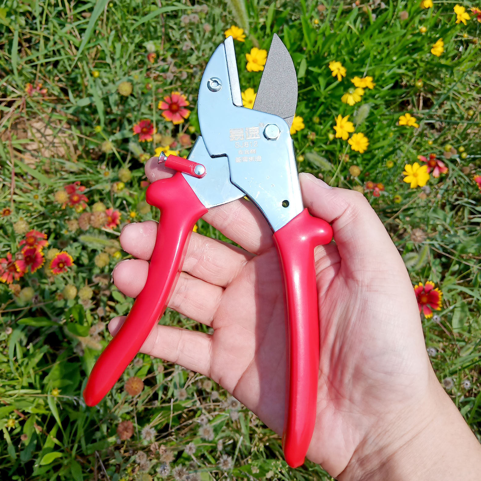 易速SJ812修枝剪 园艺剪刀果树剪刀花艺花枝剪葡萄剪刀省力修枝剪