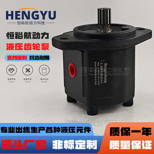 Hengyuhang压力齿轮泵萨拉米油泵SALAMI液压泵2.5PB22D-GX55S3泵
