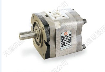 IGH-2F-6.5-R-20,内齿轮泵,KWL/凯维联