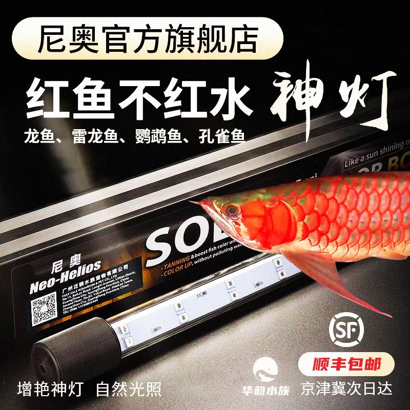 尼奥神灯二代雷龙鱼增艳灯血鹦鹉孔雀观赏鱼缸灯红鱼发色防水led