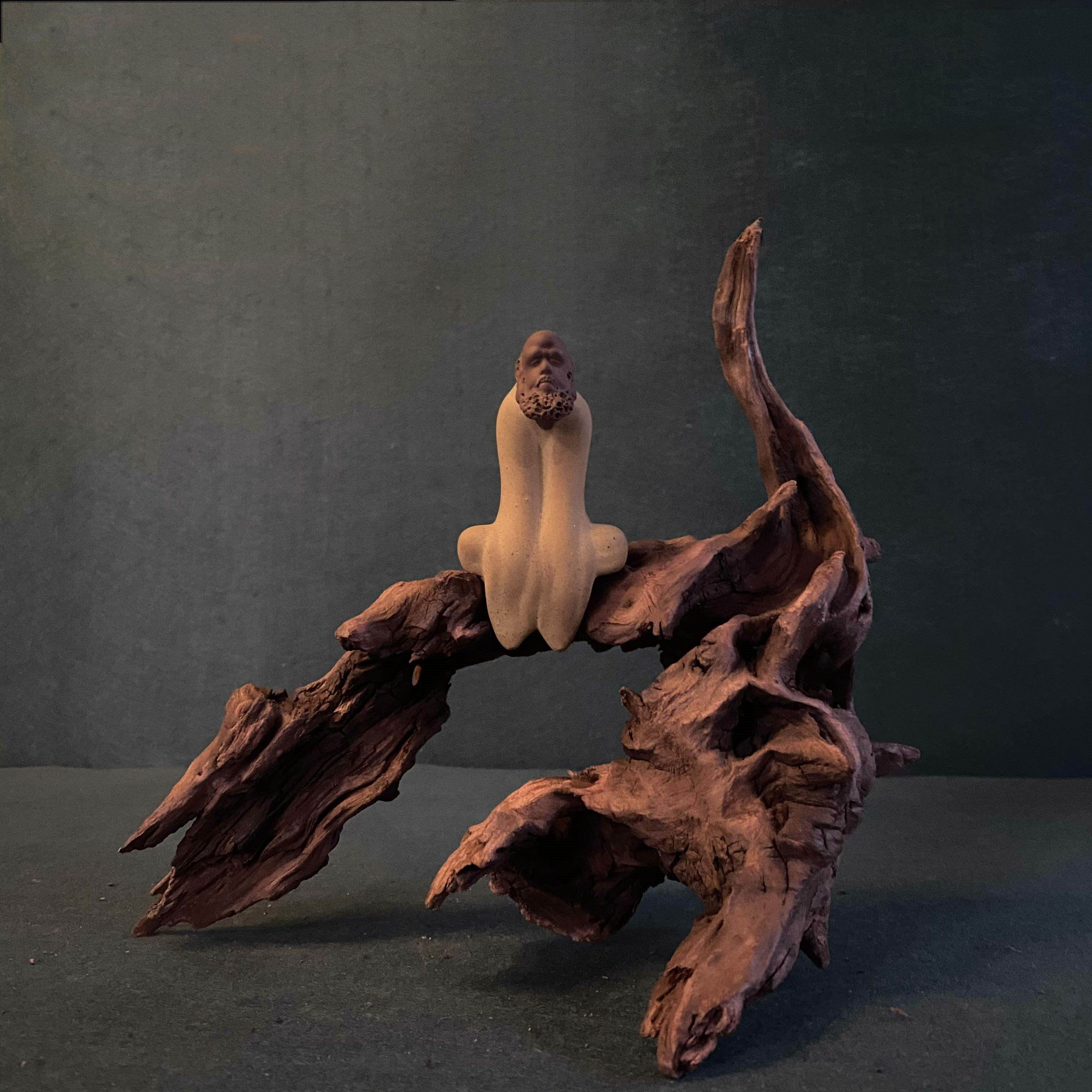 小号精品紫柚沉木水族箱鱼草缸造景乌龟爬晒台爬宠躲避根艺小摆件,宠物/宠物食品及用品,造景/装饰,淘宝优惠券,粉丝福利购,淘宝优惠卷