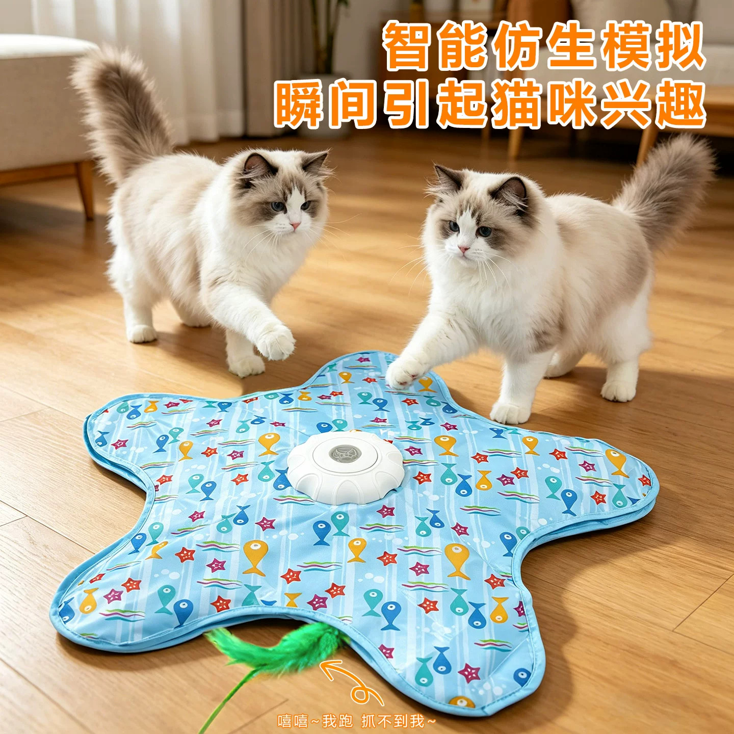 自动转盘捕猎毯逗猫玩具图片