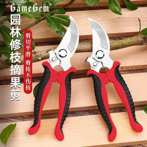 花剪枝园艺剪刀修枝剪省力修剪树枝果树竹签园林花卉剪子