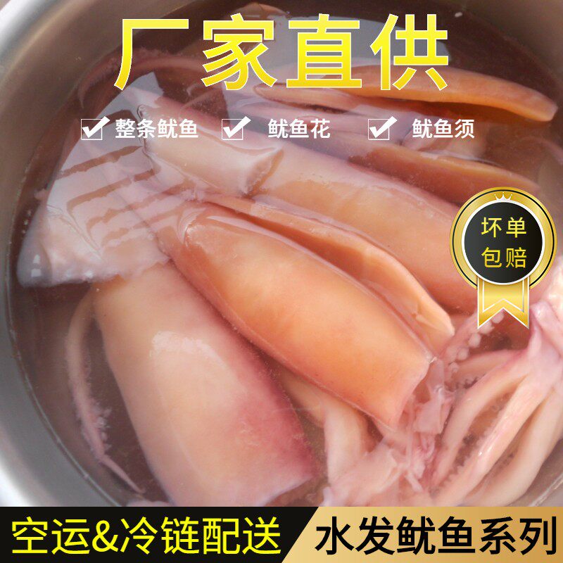 新鲜水发鱿鱼260克真空包装鱿鱼须鱿鱼花鱿鱼卷 整条鱿鱼包邮食品