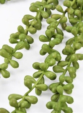 极速Artificial Hanging Plant Set Fake Succulent String Of
