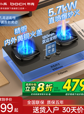【政府补贴20%】小熊旗下布克燃气灶煤气灶家用双灶5.7kW灶台灶具