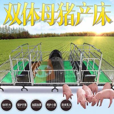 母猪产床复合板铸铁梁双体产床仔猪分娩床产保一体产床养殖设备