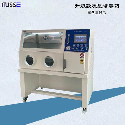 自动款显示含氧量M-YYX触摸屏监控无氧工作站厌氧培养箱