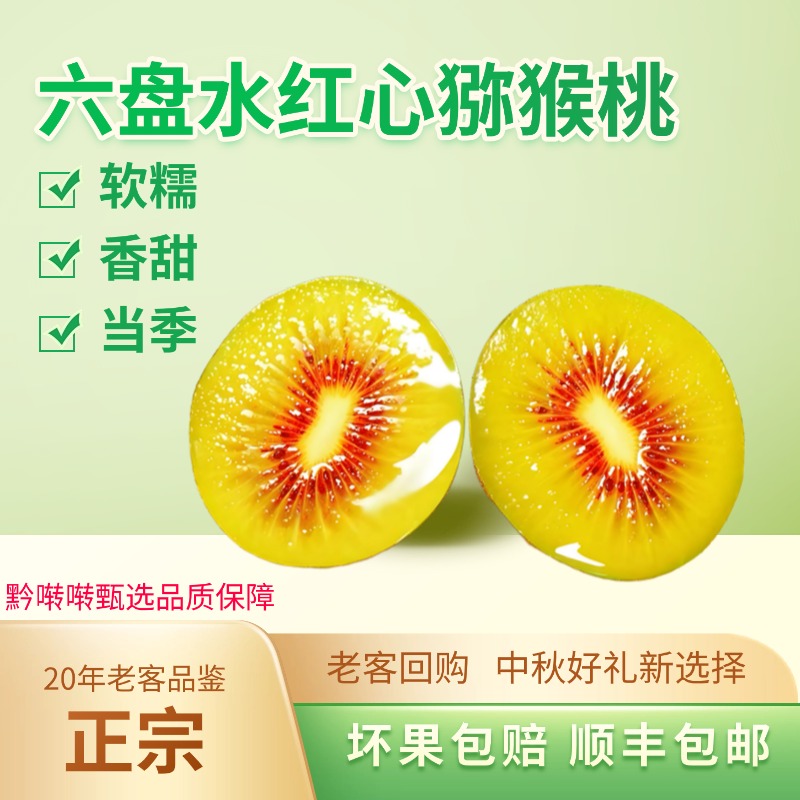 正宗贵州六盘水红心猕猴桃礼盒