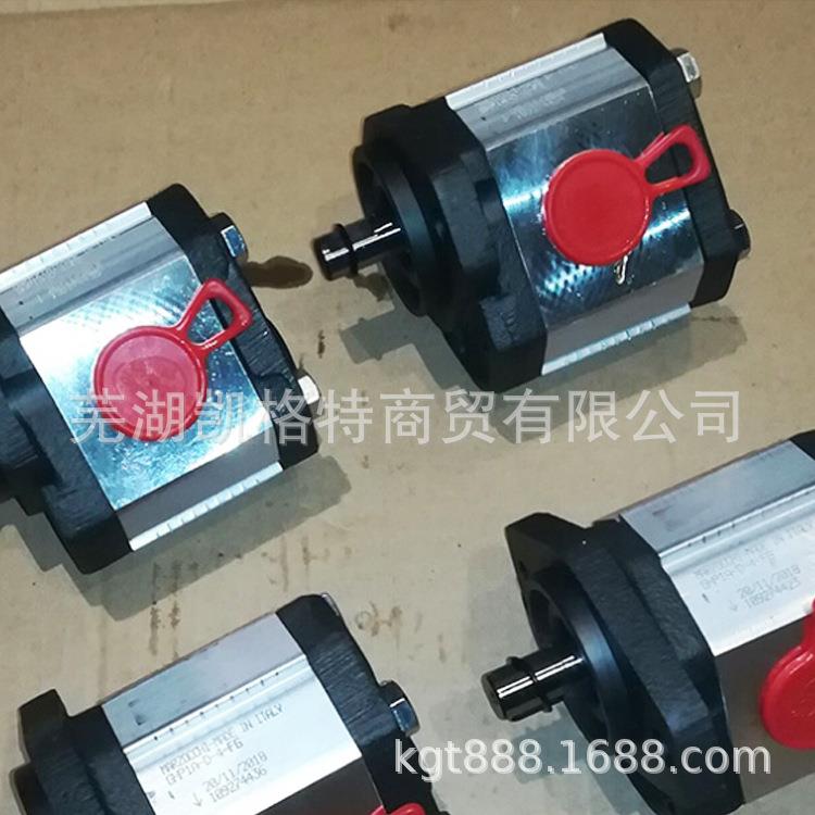 意大利MARZOCCHI马祖奇ALP2-D-37-FG齿轮泵 稀油站润滑齿轮油泵