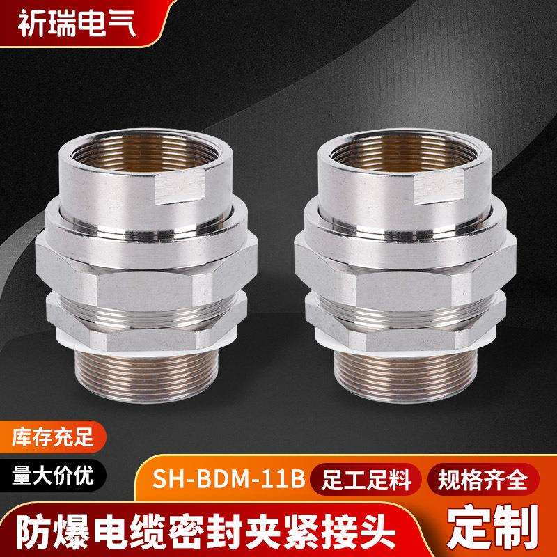 填料函防爆电缆夹紧密封接头格兰头SH-BDM-11B螺纹金属防爆活接头