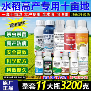 水稻套餐水稻增产十亩地水稻纹枯病稻瘟二化螟三化螟钻心虫专用药