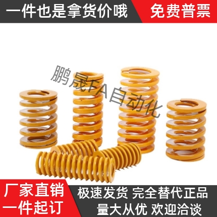 YSWF-D12-L20 L25 L30 L35L65 L70 L75 L80 L85 L90 L100矩形弹簧