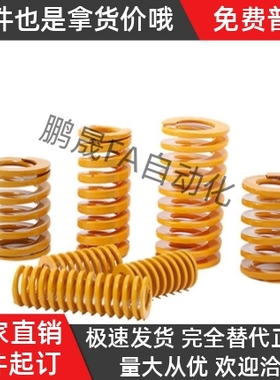 YSWF-D12-L20 L25 L30 L35L65 L70 L75 L80 L85 L90 L100矩形弹簧