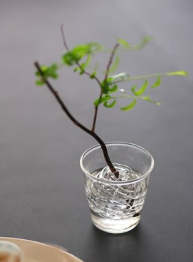 柒月里定制剑山玻璃球花插艺术摆件手工简约家居装饰品茶宠神器