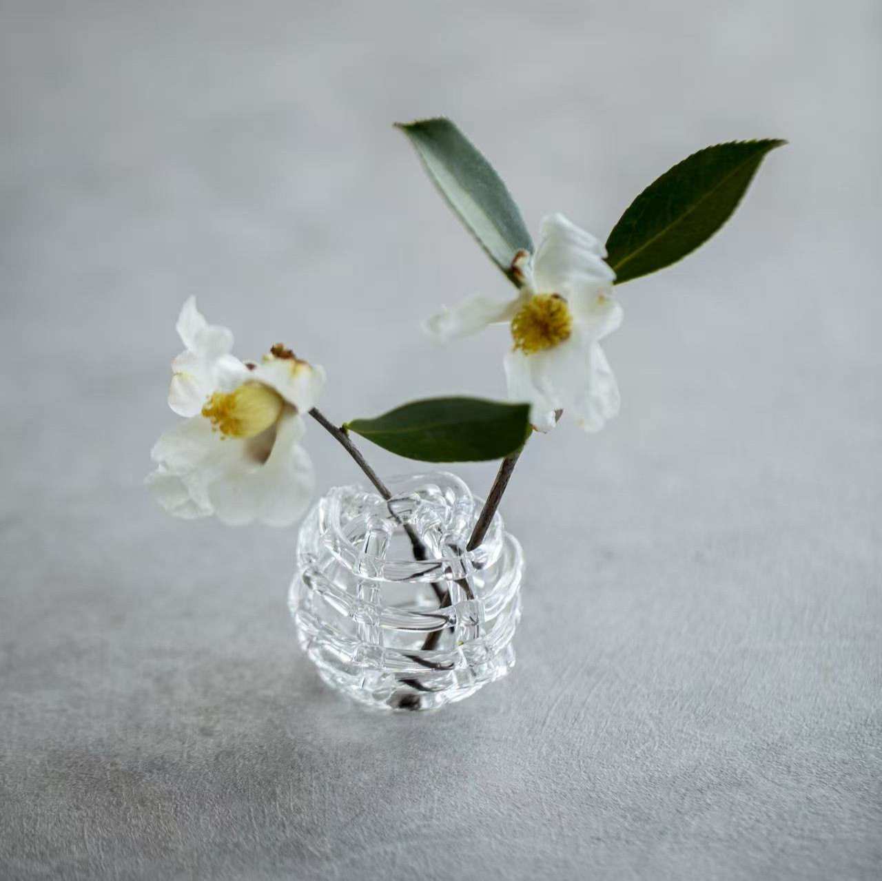 柒月里定制剑山玻璃球花插艺术摆件手工简约家居装饰品茶宠神器,家居饰品,其他花器,淘宝优惠券,粉丝福利购,淘宝优惠卷