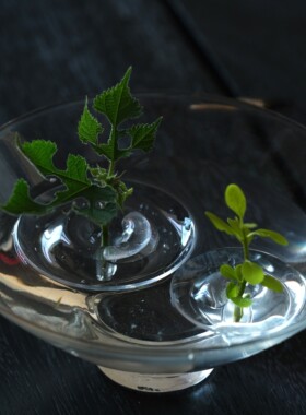 漂浮花插新款简约侘寂风插网红花器鲜花水培器皿花盆花瓶客厅布置