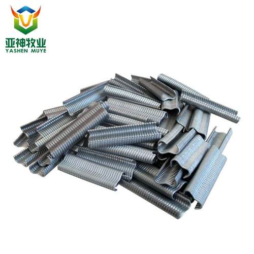 鸡笼组装工具兔笼组笼钳专用M型钉m钉捆笼钳钉绑笼卡扣环鸡用钉子