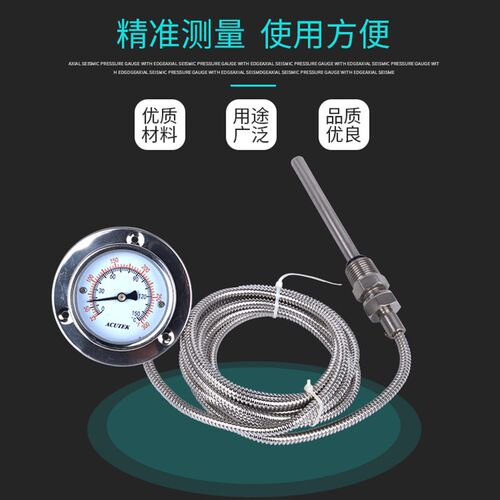 好货轴向带边 不锈钢压力式温度计 WTZ-63  150度 3米 1/2 探头10