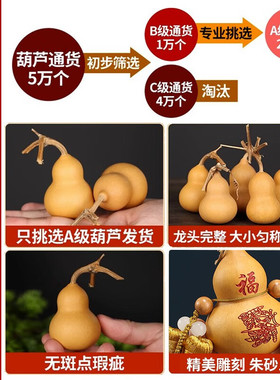 好货五帝钱天然葫芦真品铜钱乔迁摆件挂大门卧室厕所乔迁新居装饰