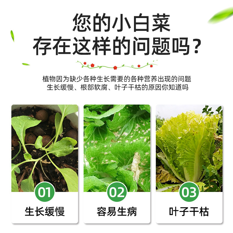 极速小白菜专用肥小青菜种菜肥料有机肥鸡毛菜肥料油麦菜绿叶根茎