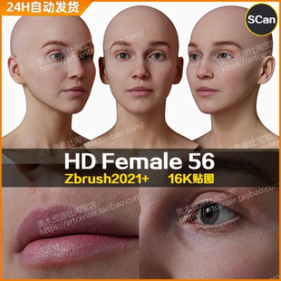 3DScan store/Ten24写实高清扫描模型ZBrush女性头部HD Female 56