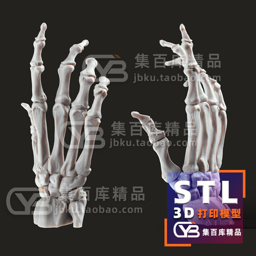 人体手部骨骼 完整掌骨指骨腕骨 3D打印图纸手办ZB模型STL素材