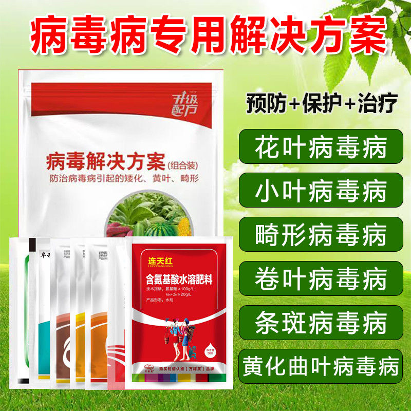 病毒病套餐病毒病专用辣椒病毒病西葫芦病毒病黄叶小叶花叶病毒病