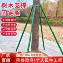 镀锌钢管园林绿化支撑树木支撑架大树防风支撑杆苗木固定器支架