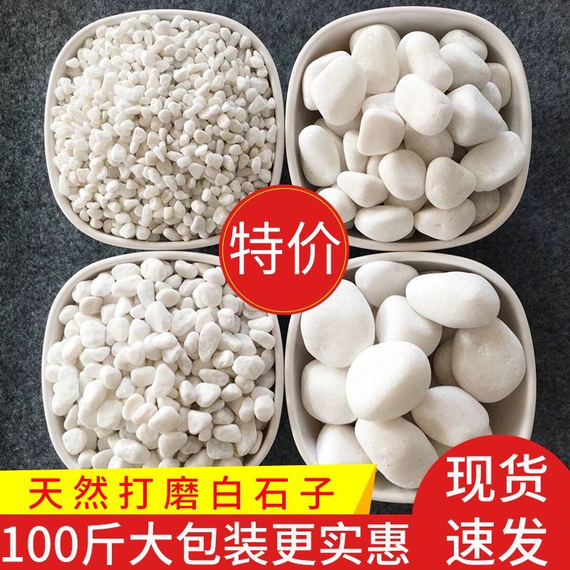 100斤白石子白色鹅卵石庭