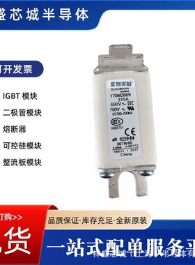 170M1791   170M1792快速汽车熔断器 直流熔芯 电子元器件