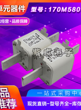 170M5808 170M5809 170M5810 170M5811 170M5812 170M5813保险丝