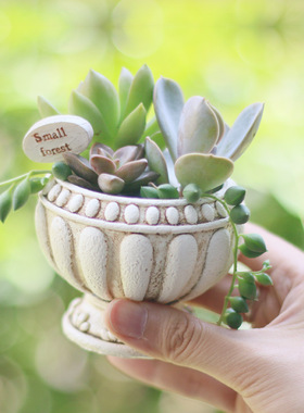 如果创意多肉花盆仿多材质园艺微景观办公室盆栽搭配摆件