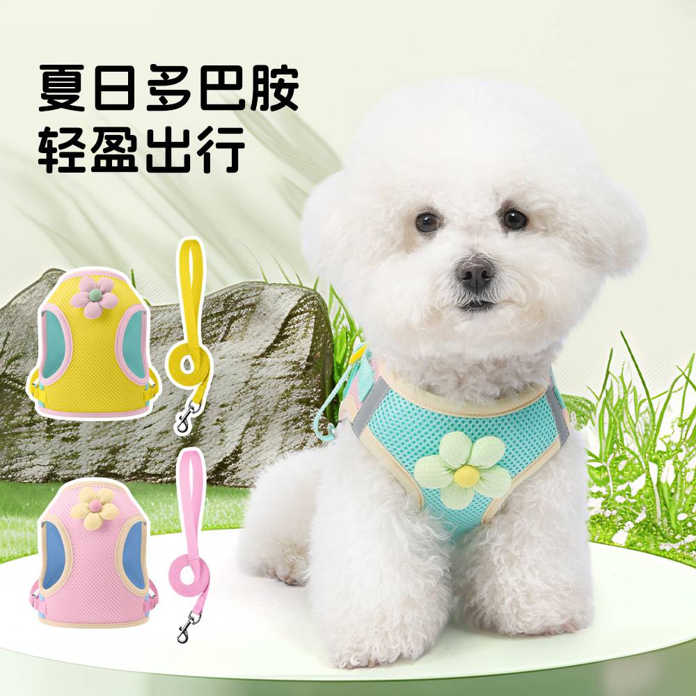 狗狗牵引绳撞色胸背带小型犬比熊狗胸背透气减负猫咪狗狗胸背夏季