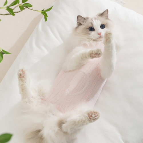 春夏款猫咪空调服简约时尚布标宝包肚衣中小型犬狗狗护肚宠物衣服