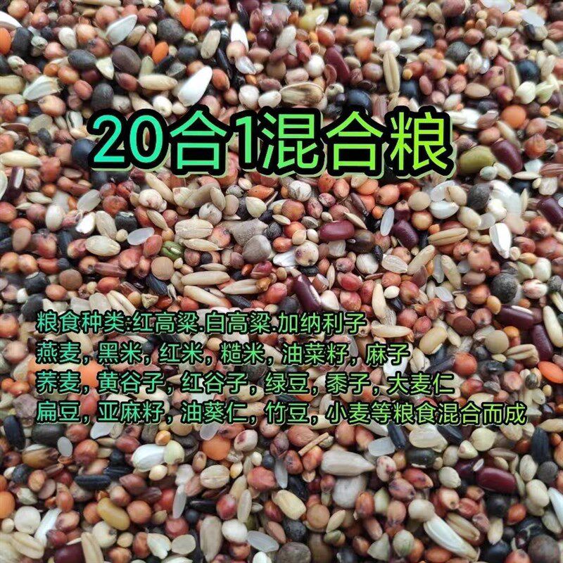 热销斑鸠魔术鸽粮食鸽子饲料20合1混合粮鸽子粮小鸽子吃斑鸠竹鸡