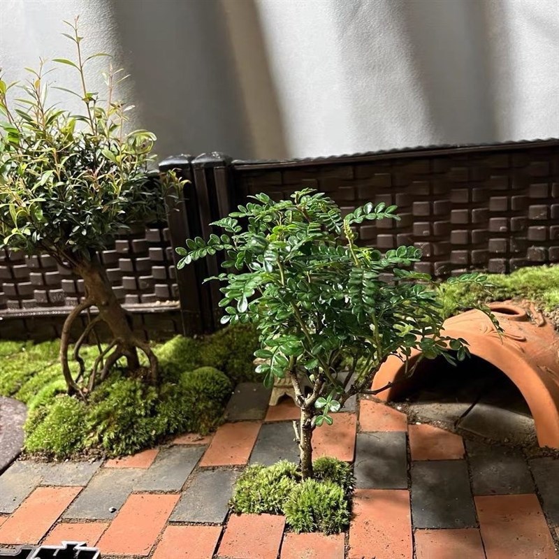 热销黄缘龟造景砖专用小青砖材料鱼缸装饰陶土砖铺地红砖安缘雨林图片