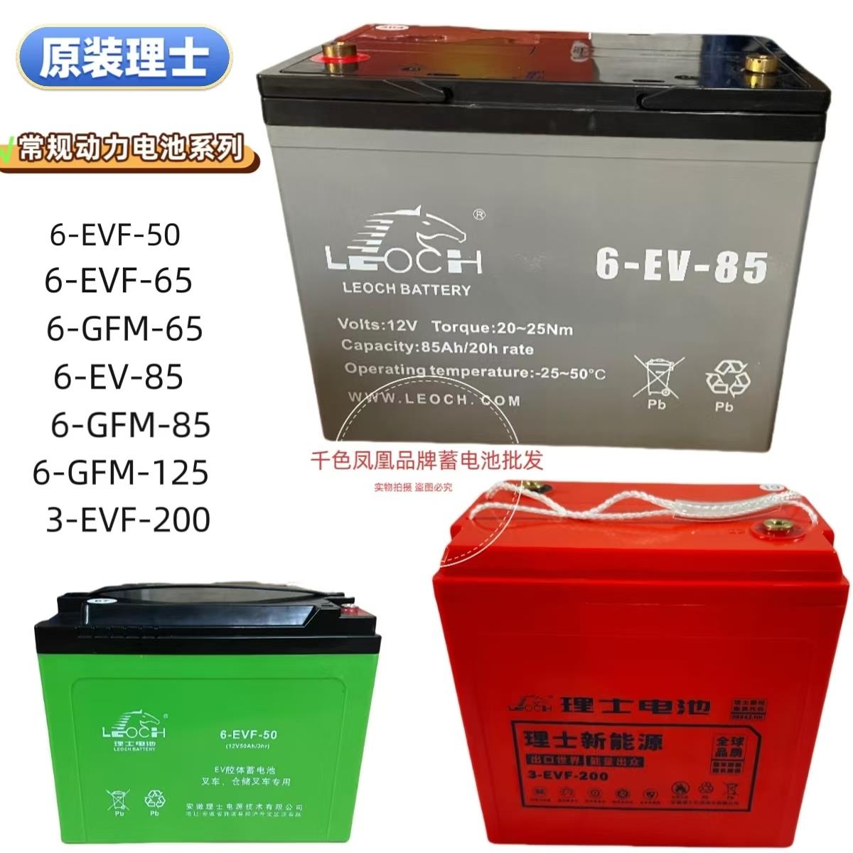 理士EV胶体蓄电池叉车电池6-EVF-65 6-EV-85 6-GFM-85 3-EVF-200