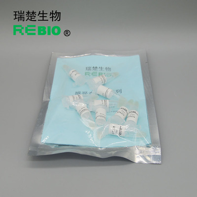 包邮包干冰Mach1-T1化学转化感受态细胞10×100μl科研用途